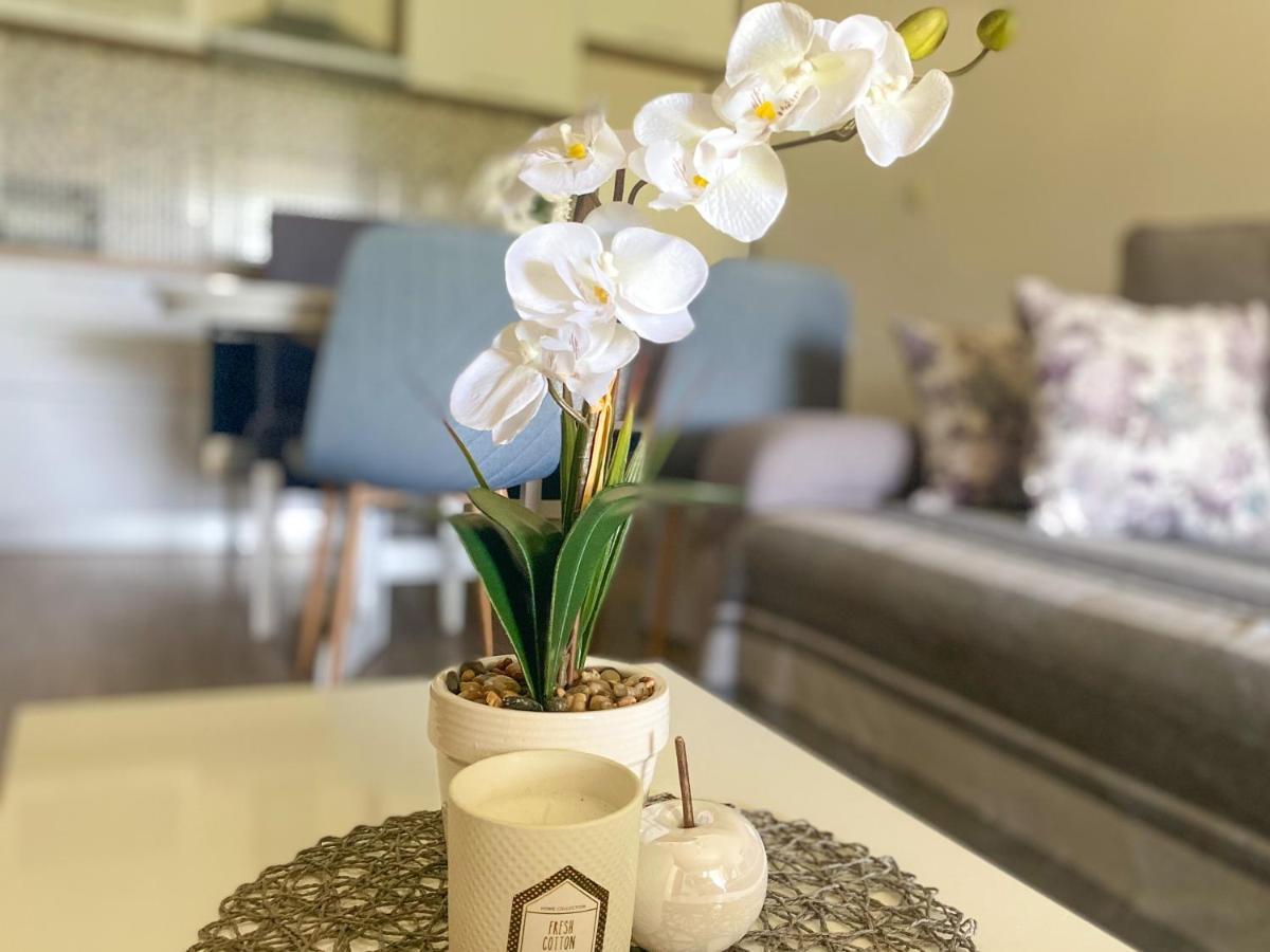 Apartment Laganini Sarica Struga 外观 照片